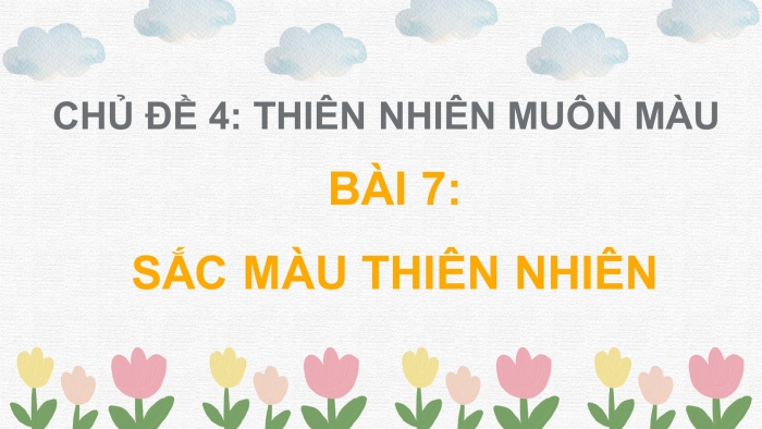 Giáo án và PPT đồng bộ Mĩ thuật 7 chân trời sáng tạo Bản 2