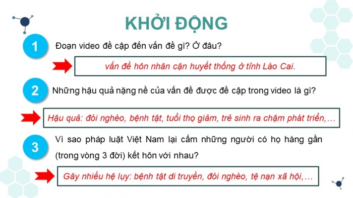 Giáo án và PPT đồng bộ Sinh học 12 kết nối tri thức