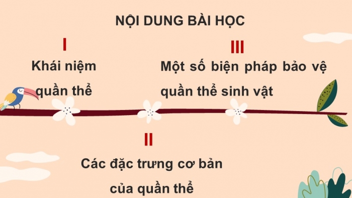 Giáo án và PPT đồng bộ Khoa học tự nhiên 8 cánh diều