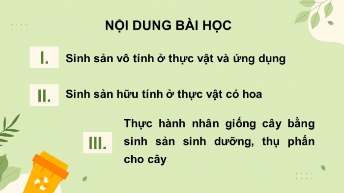 Giáo án và PPT đồng bộ Sinh học 11 cánh diều