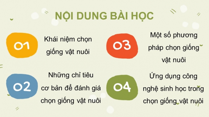 Giáo án và PPT đồng bộ Công nghệ 11 Công nghệ chăn nuôi Cánh diều