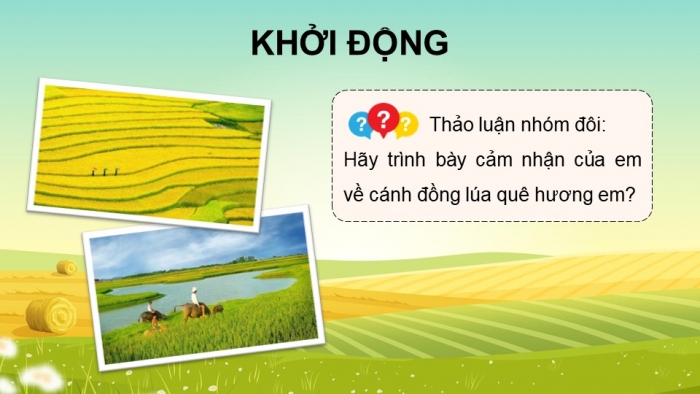 Giáo án điện tử Tiếng Việt 5 chân trời Bài 7: Bức tranh đồng quê