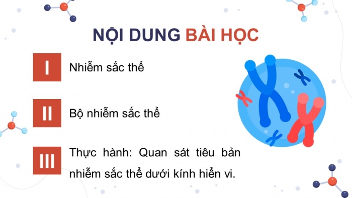 Giáo án và PPT đồng bộ Khoa học tự nhiên 9 kết nối tri thức