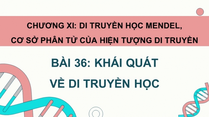 Giáo án và PPT đồng bộ Sinh học 9 kết nối tri thức