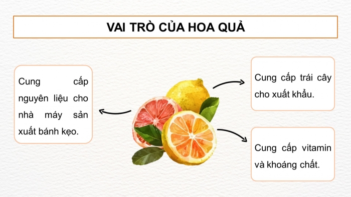 Giáo án điện tử Công nghệ 9 Trồng cây ăn quả Kết nối Bài 1: Giới thiệu chung về cây ăn quả