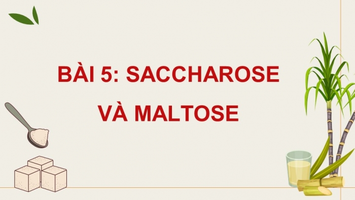 Giáo án điện tử Hoá học 12 kết nối Bài 5: Saccharose và maltose