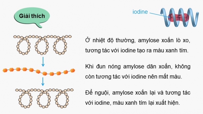 Giáo án điện tử Hoá học 12 kết nối Bài 7: Ôn tập chương 2