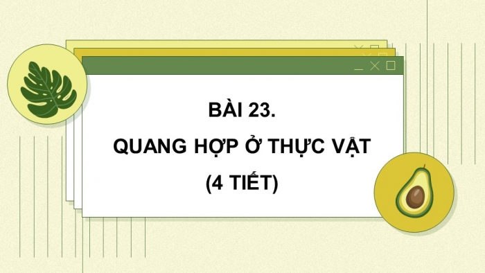 Giáo án và PPT đồng bộ Sinh học 7 chân trời sáng tạo