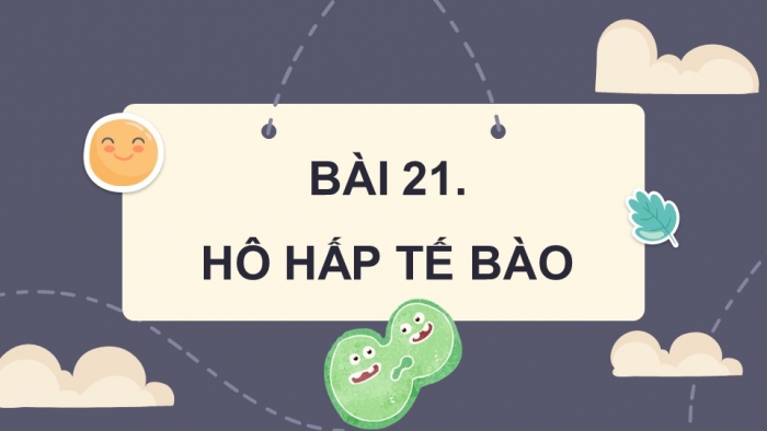 Giáo án và PPT đồng bộ Sinh học 7 cánh diều