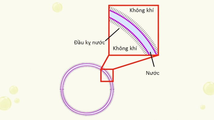 Giáo án điện tử Hóa học 12 cánh diều Bài 2: Xà phòng và chất giặt rửa tổng hợp