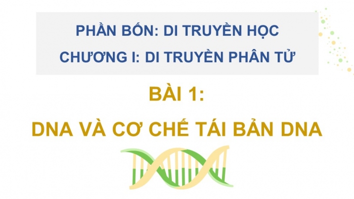 Giáo án điện tử Sinh học 12 kết nối Bài 1: DNA và cơ chế tái bản DNA