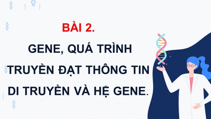 Giáo án điện tử Sinh học 12 kết nối Bài 2: Gene, quá trình truyền đạt thông tin di truyền và hệ gene