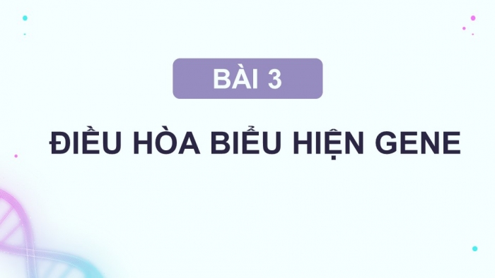 Giáo án điện tử Sinh học 12 kết nối Bài 3: Điều hoà biểu hiện gene