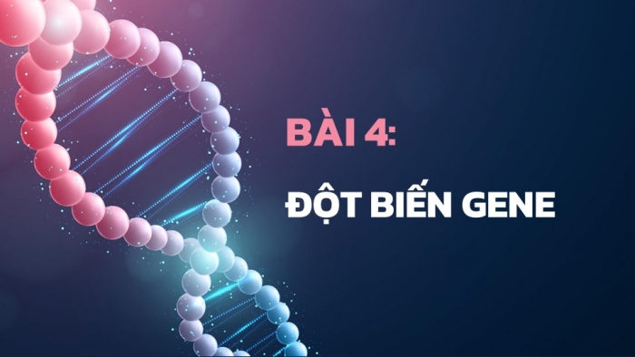 Giáo án điện tử Sinh học 12 kết nối Bài 4: Đột biến gene