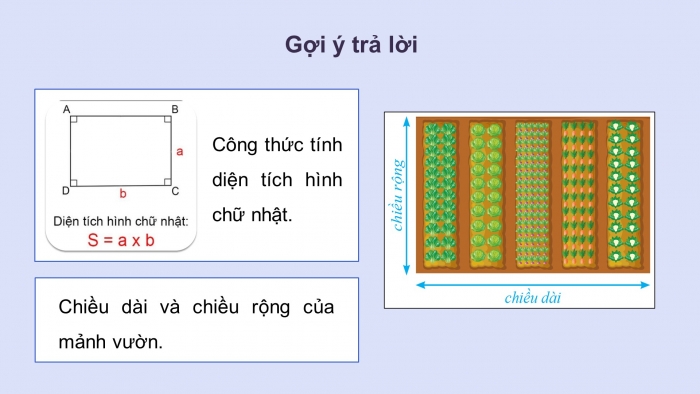 Giáo án điện tử Tin học 5 cánh diều Chủ đề C1 Bài 1: Thu thập và tìm kiếm thông tin trong giải quyết vấn đề