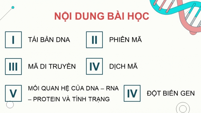 Giáo án điện tử KHTN 9 cánh diều - Phân môn Sinh học Bài 34: Từ gene đến tính trạng