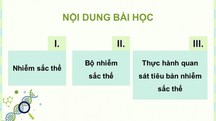 Giáo án điện tử KHTN 9 cánh diều - Phân môn Sinh học Bài 35: Nhiễm sắc thể và bộ nhiễm sắc thể