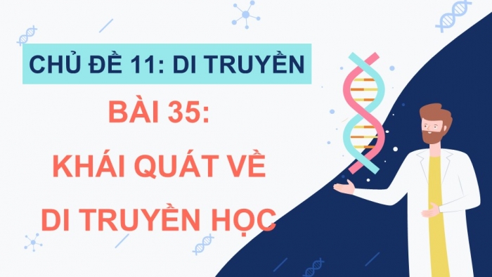 Giáo án điện tử KHTN 9 chân trời - Phân môn Sinh học Bài 35: Khái quát về di truyền học