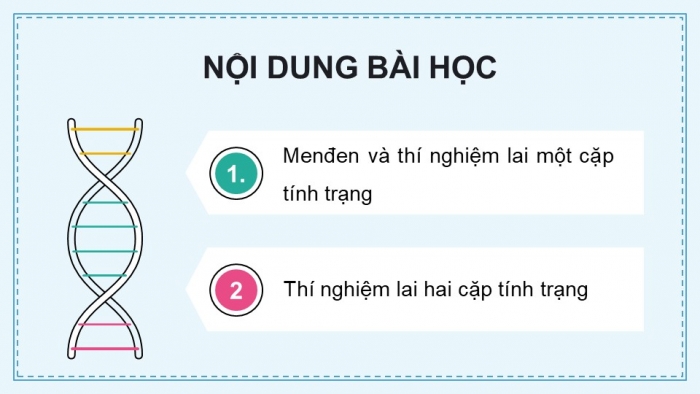 Giáo án điện tử KHTN 9 chân trời - Phân môn Sinh học Bài 36: Các quy luật di truyền của Mendel