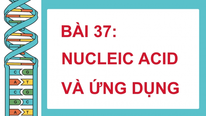 Giáo án điện tử KHTN 9 chân trời - Phân môn Sinh học Bài 37: Nucleic acid và ứng dụng