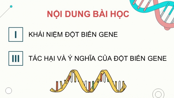 Giáo án điện tử KHTN 9 chân trời - Phân môn Sinh học Bài 38: Đột biến gene