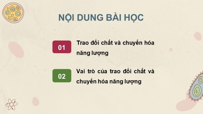 Giáo án và PPT đồng bộ Khoa học tự nhiên 7 kết nối tri thức