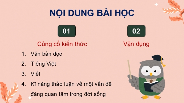 Giáo án điện tử Ngữ văn 9 chân trời Bài 1: Ôn tập