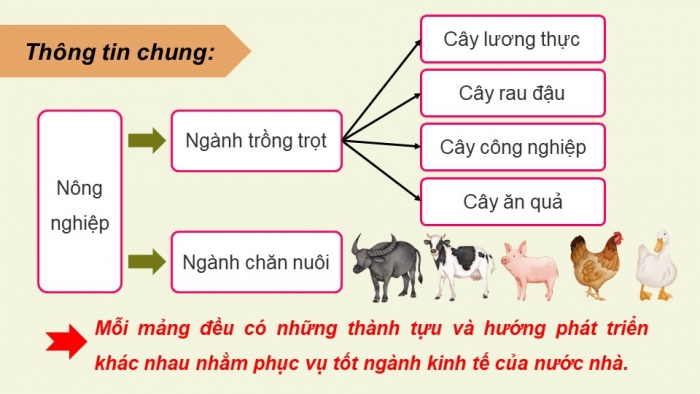 Giáo án điện tử Địa lí 9 kết nối Bài 4: Nông nghiệp (bổ sung)