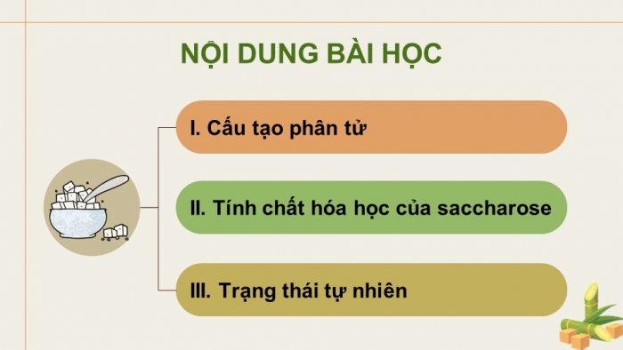 Giáo án điện tử Hoá học 12 kết nối Bài 5: Saccharose và maltose