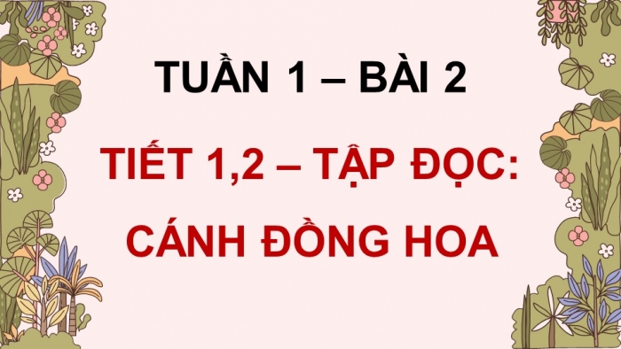 Giáo án điện tử Tiếng Việt 5 kết nối Bài 2: Cánh đồng hoa