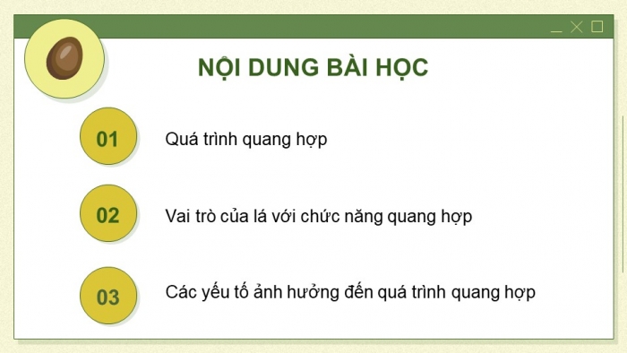 Giáo án và PPT đồng bộ Sinh học 7 chân trời sáng tạo