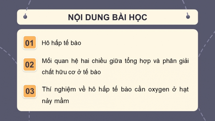 Giáo án và PPT đồng bộ Sinh học 7 cánh diều