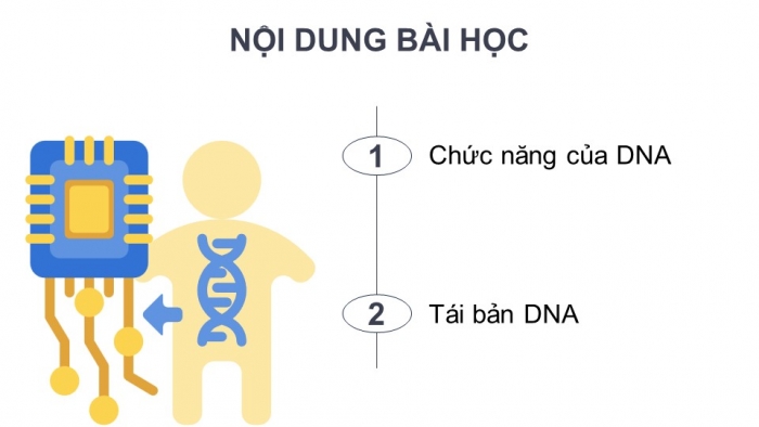 Giáo án điện tử Sinh học 12 kết nối Bài 1: DNA và cơ chế tái bản DNA