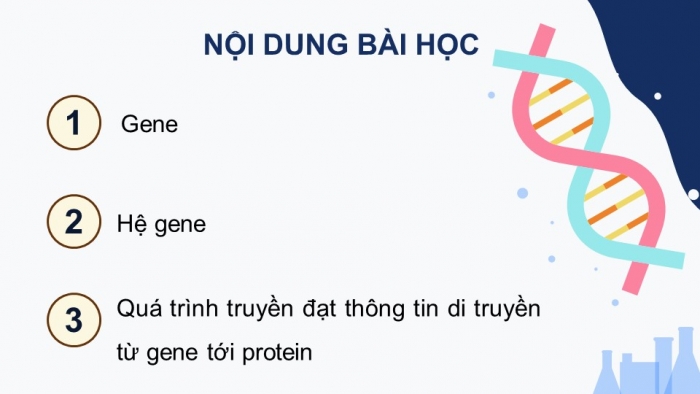 Giáo án điện tử Sinh học 12 kết nối Bài 2: Gene, quá trình truyền đạt thông tin di truyền và hệ gene