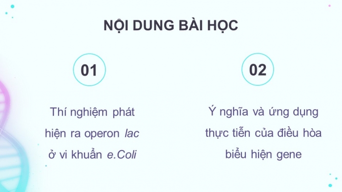 Giáo án điện tử Sinh học 12 kết nối Bài 3: Điều hoà biểu hiện gene