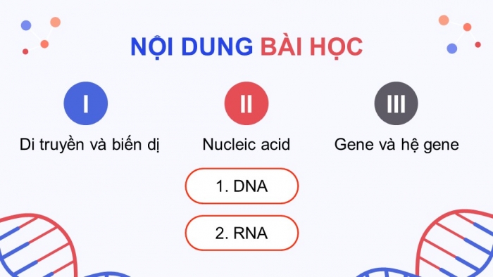 Giáo án và PPT đồng bộ Sinh học 9 cánh diều