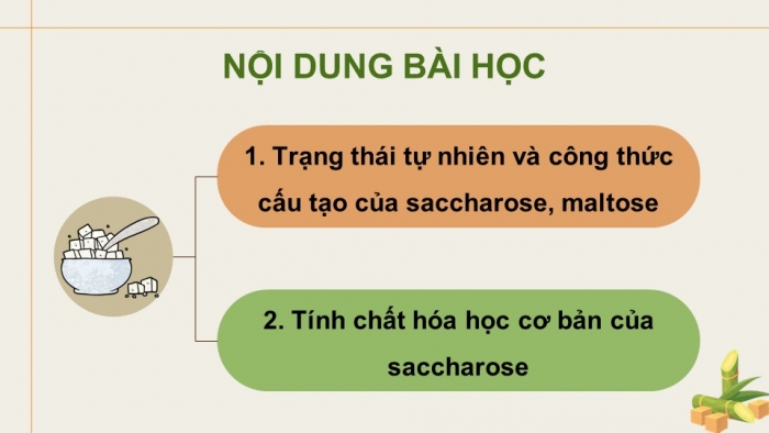 Giáo án điện tử Hoá học 12 chân trời Bài 4: Saccharose và maltose