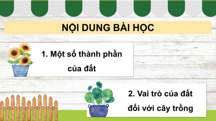 Giáo án điện tử Khoa học 5 chân trời Bài 1: Thành phần và vai trò của đất