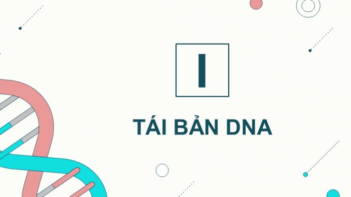 Giáo án điện tử KHTN 9 cánh diều - Phân môn Sinh học Bài 34: Từ gene đến tính trạng