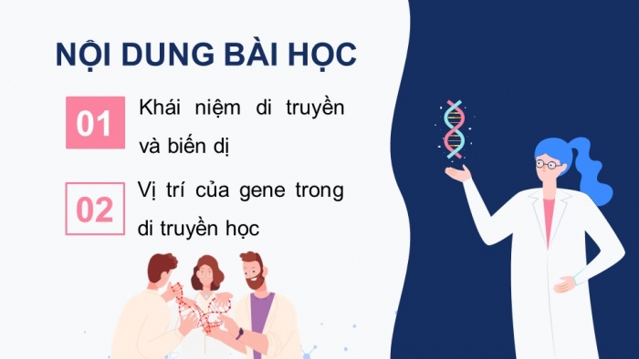 Giáo án điện tử KHTN 9 chân trời - Phân môn Sinh học Bài 35: Khái quát về di truyền học