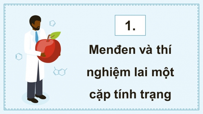 Giáo án điện tử KHTN 9 chân trời - Phân môn Sinh học Bài 36: Các quy luật di truyền của Mendel