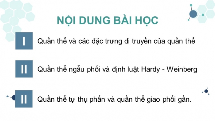 Giáo án và PPT đồng bộ Sinh học 12 kết nối tri thức