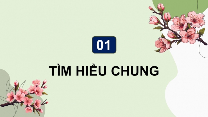 Giáo án điện tử Ngữ văn 9 chân trời Bài 1: Mùa xuân nho nhỏ (Thanh Hải)