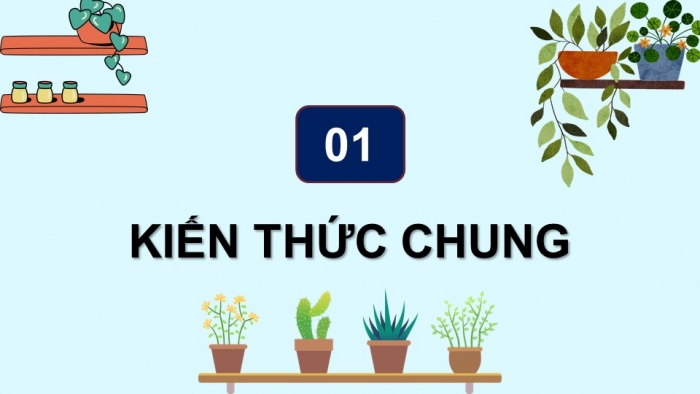 Giáo án điện tử Ngữ văn 9 chân trời Bài 1: Làm một bài thơ tám chữ