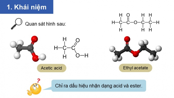 Giáo án điện tử Hoá học 12 kết nối Bài 1: Ester - Lipid