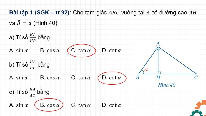 Giáo án điện tử Toán 9 cánh diều Bài tập cuối chương IV