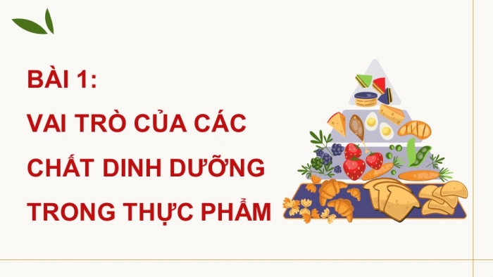 Giáo án điện tử Công nghệ 9 Chế biến thực phẩm Cánh diều Bài 1: Vai trò của các chất dinh dưỡng trong thực phẩm