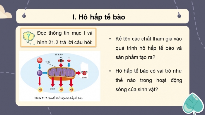 Giáo án và PPT đồng bộ Sinh học 7 cánh diều