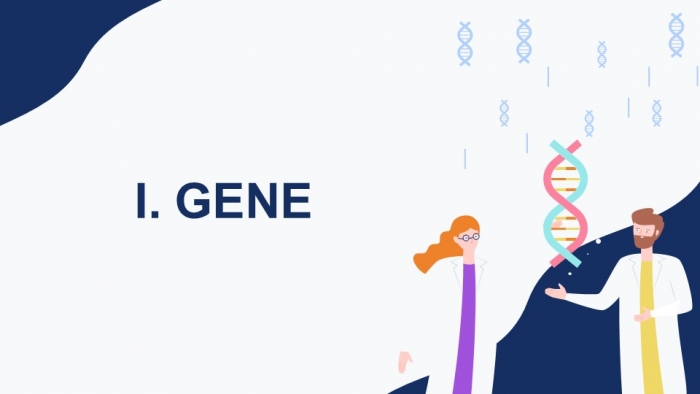 Giáo án điện tử Sinh học 12 kết nối Bài 2: Gene, quá trình truyền đạt thông tin di truyền và hệ gene