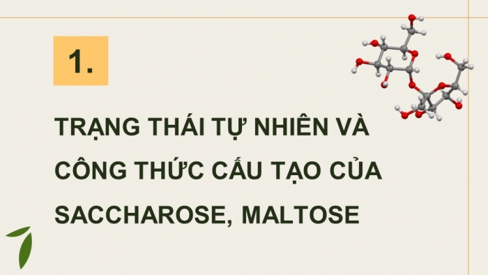 Giáo án điện tử Hoá học 12 chân trời Bài 4: Saccharose và maltose